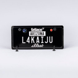 USA License Plate Embossed Type One