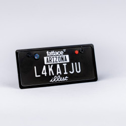 USA License Plate Embossed Type One