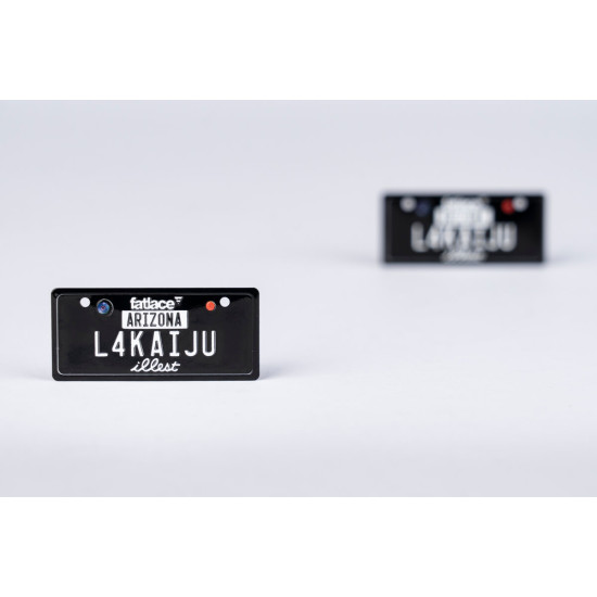 USA License Plate Embossed Type One