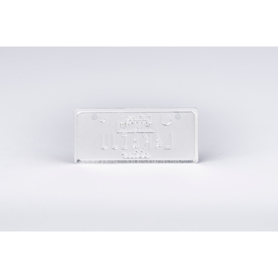 USA License Plate Embossed Type One