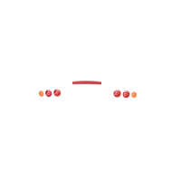 Lights Lenses Ver.1 For RX-7 FD GR Fighterworks