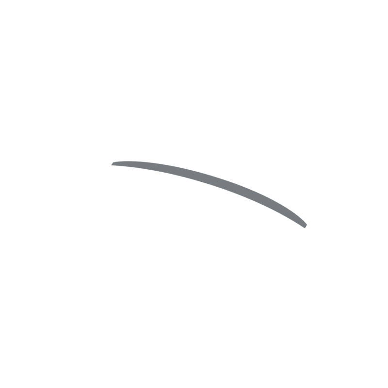 BMW E92 Ducktail