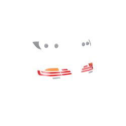 E92 M3 & Dom's Light Lenses