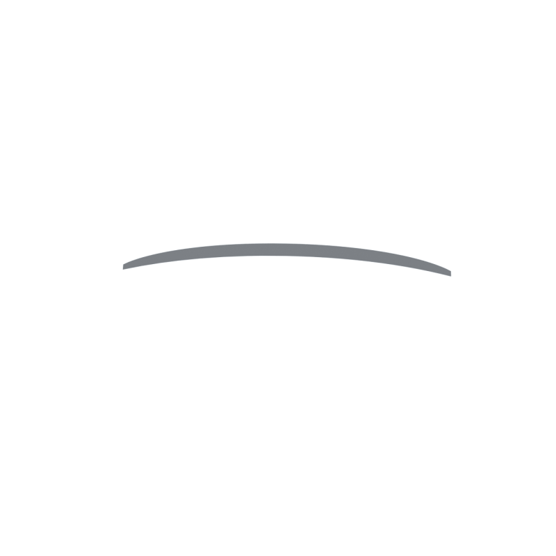 BMW E92 Ducktail