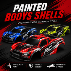 Painted Bodys Shells