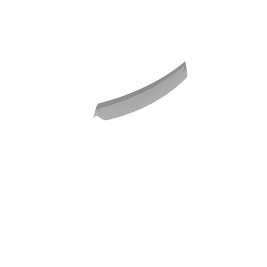 Mitsubishi EVO X Roof Spoiler