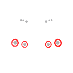 Lights Lens Set  for LBWL WORKS GT 35GT-RR