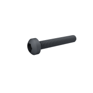 Hex Pan Head Screw 1.6*10mm Black